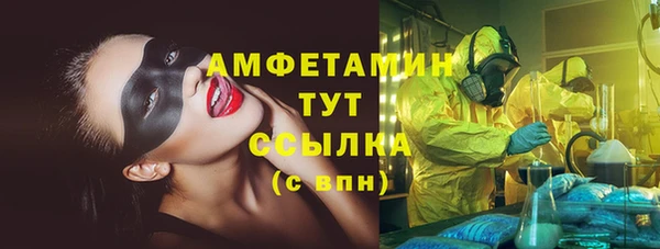 сатива Надым