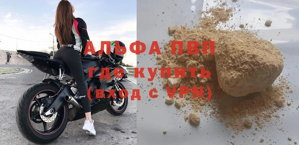 сатива Надым