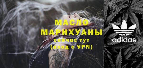 сатива Надым