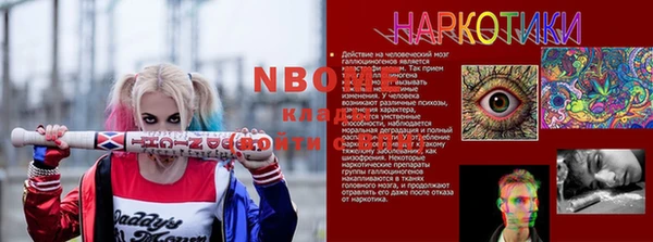 сатива Надым