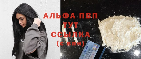 сатива Надым